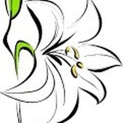 Piccadilly's Flower Shoppe - Piccadilly's 304 765 5974