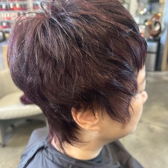 Sylva Hair Salon - Hair Stylists Near Me - Bellevue, Washington Sylva Hair Salon - Hair Stylists Near Me - Bellevue, Washington