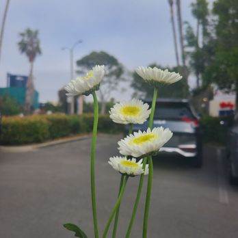 City Cruises - The crew gave the moms flowers as we exited the boat - Venues & Event Spaces Near Me - Marina del Rey, California