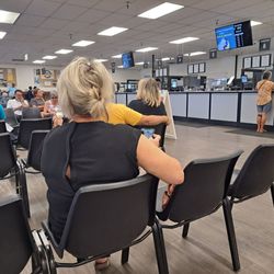 Department of Motor Vehicles - I noticed this woman zooming in on people at the windows and taking pictures of their private documents.