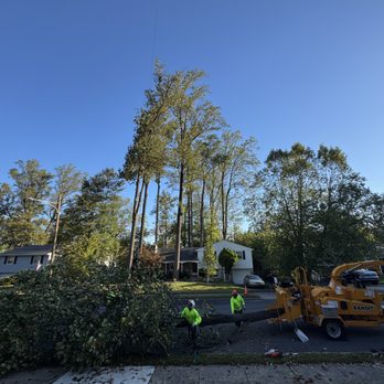 Cabanas Tree Expert - Tree Services Near Me - Ambler, Pennsylvania Cabanas Tree Expert - Tree Services Near Me - Ambler, Pennsylvania