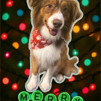 Fluff & Buff Boutique - Pet Groomers Near Me - Tyngsborough, Massachusetts Fluff & Buff Boutique - Pet Groomers Near Me - Tyngsborough, Massachusetts
