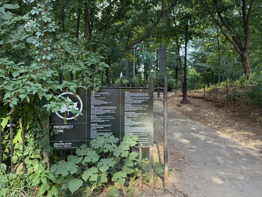 Prospect Park by null