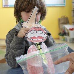 Leap and Bound Academy - We created models of our lungs that expand when we blow into straws during our STEAM class!