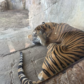 Fort Worth Zoo - Zoos Near Me - Fort Worth, Texas
