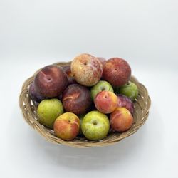 Fresh Plums!