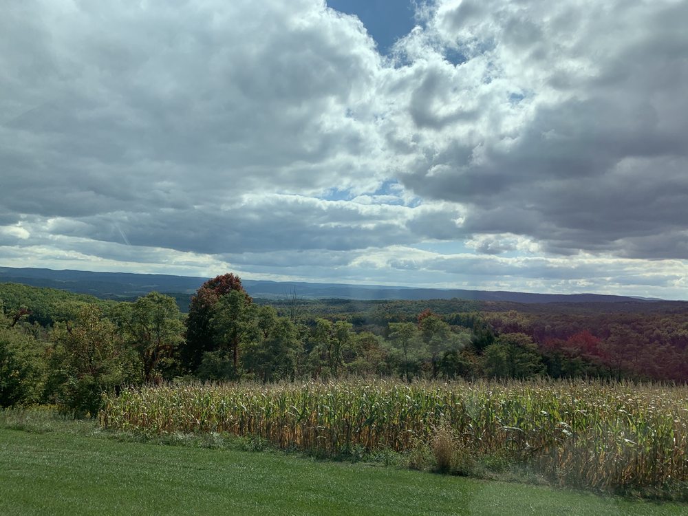 PODLOGAR MOBILE NOTARY Updated June 2024 Smithfield, Pennsylvania