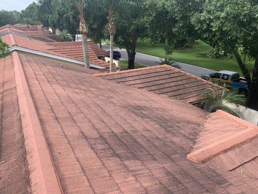 Champion power washing Logo