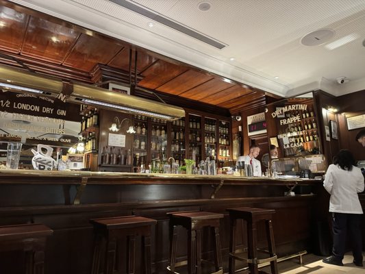 SPEAKEASY by null