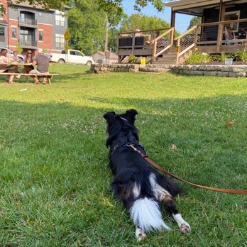 Rivet Coffee Bar & Roastery - Dog friendly is always a plus in my book - Coffee Roasteries Near Me - Westfield, Indiana Rivet Coffee Bar & Roastery - Dog friendly is always a plus in my book - Coffee Roasteries Near Me - Westfield, Indiana