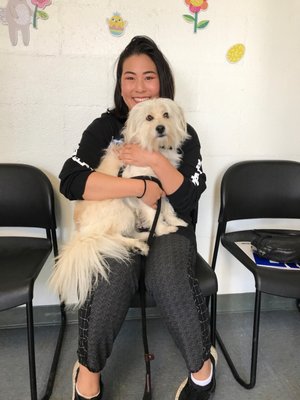 south bay pet adoption center