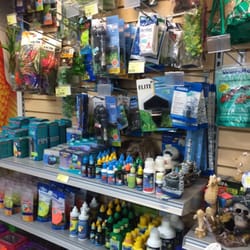 +KOTA - Comida y accesorios dentro de la tienda.