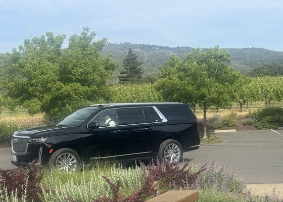 California Wine Tours and Transportation by null