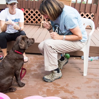 K9 Leadership Training - Pet Training Near Me - Centerville, Utah