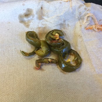 Mountain Mike's Pizza - Had to pick this crap off. - Pizza Near Me - Windsor, California