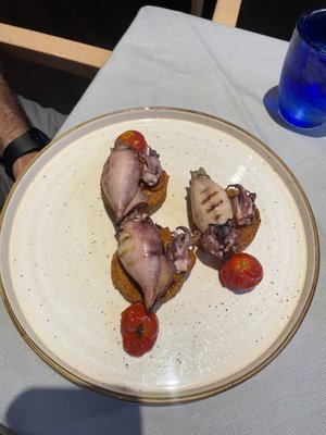 PEsciolino by null