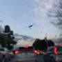 Photo of Pete Hendrick Windshield Repair