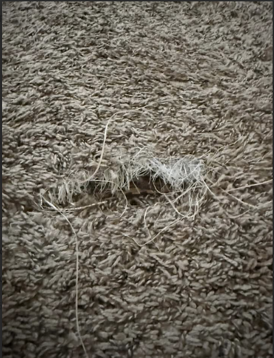 Slide of K&S handyman service