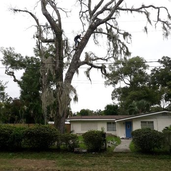 Jax Metro Services - Tree Removal Arlington Area - Tree Services Near Me - Jacksonville, Florida