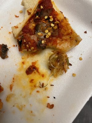 Palermo's 95th Italian Cuisine by null