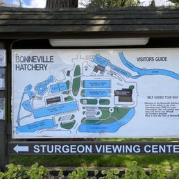 Map of all that awaits you!