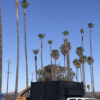 Arboles Care Tree Service - Rio Mesa High School - Tree Services Near Me Arboles Care Tree Service - Rio Mesa High School - Tree Services Near Me