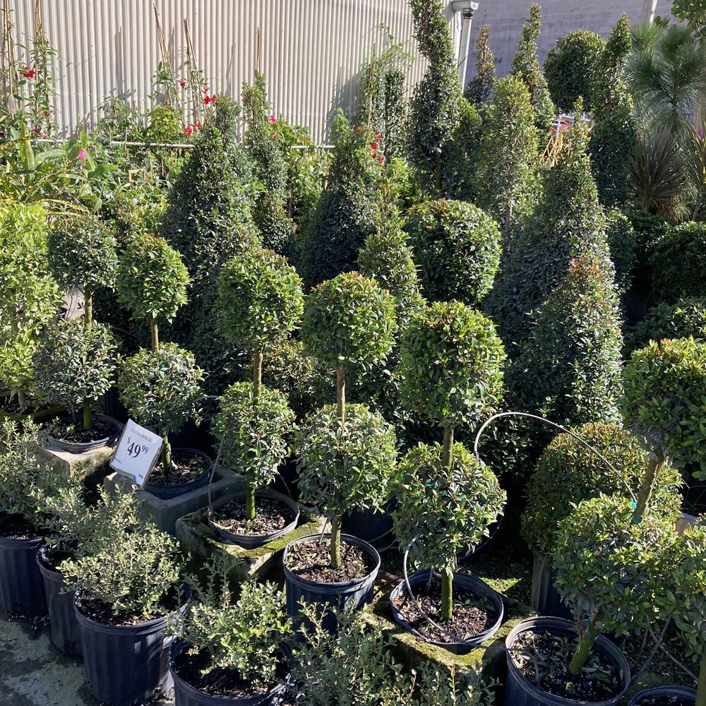 Garden Centers Naples Florida Fasci Garden