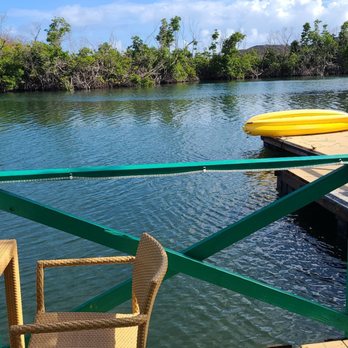 Virgin Islands Ecotours - Tours Near Me - St Thomas, Virgin Islands