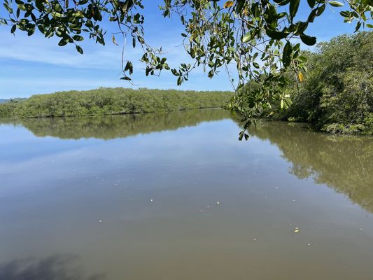 El Cora Crocodile Sanctuary by null