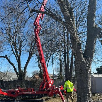 716 Lawn Care - Tree Trimming job done by 716 Lawn Care Crew in Buffalo, NY. - Tree Services Near Me - Buffalo, New York