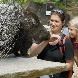 Naturschutz Tierpark - Petting the porcupines.