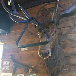 The Rollin Log Tavern - Decorations