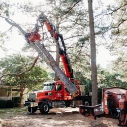 Marshall's Tree Service