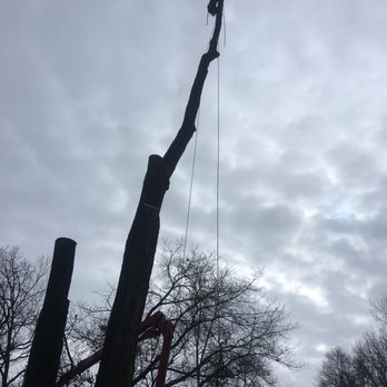 Vineland Tree Care - Tree Services Near Me - Minneapolis, Minnesota Vineland Tree Care - Tree Services Near Me - Minneapolis, Minnesota