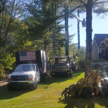 Ninja Tree Service - Tree Services Near Me - Canterbury, Connecticut Ninja Tree Service - Tree Services Near Me - Canterbury, Connecticut