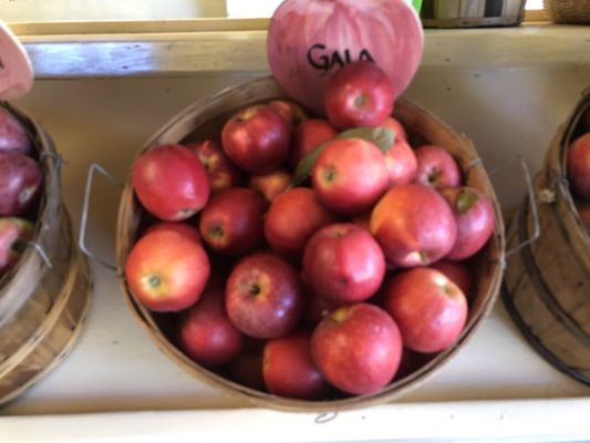 Augustine's Farm by null