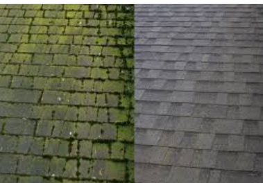 Slide of Palmetto State Exteriors