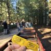 Redwood Valley Railway gift card