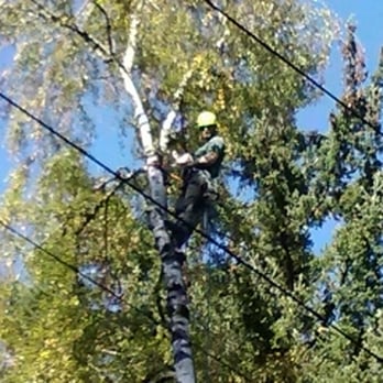 Iron Mountain Tree Care - Tree Trimming - Tree Services Near Me - Lake Oswego, Oregon Iron Mountain Tree Care - Tree Trimming - Tree Services Near Me - Lake Oswego, Oregon