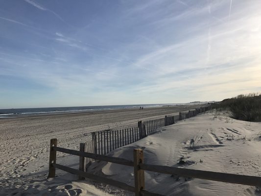 Stone Harbor by null