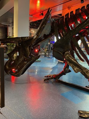 Museum of Discovery and Science by null