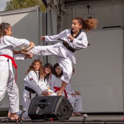 Mountain Kim Martial Arts - My daughter was invited to participate in the Mt Kim Centreville demo team.
