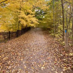 Dundas Peak - Walking trails