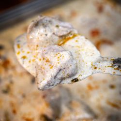 Samosa Fusion