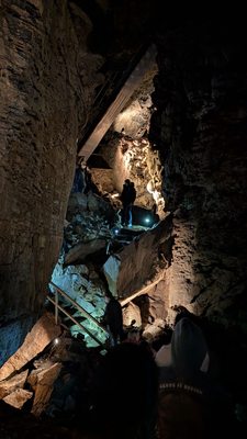 Oregon Caves National Monument & Preserve by null