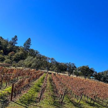 Weisinger Family Winery - Winery grounds - Wine Tasting Room Near Me - Ashland, Oregon Weisinger Family Winery - Winery grounds - Wine Tasting Room Near Me - Ashland, Oregon