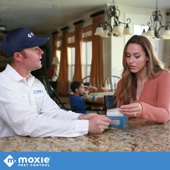 Moxie Pest Control - Cleveland - Pest Control Near Me - Independence, Ohio Moxie Pest Control - Cleveland - Pest Control Near Me - Independence, Ohio