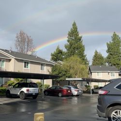 Park Knolls Apartments - The view