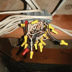 ATN Inspection Services, LLC - Have you ever really looked in your attic or crawlspace?