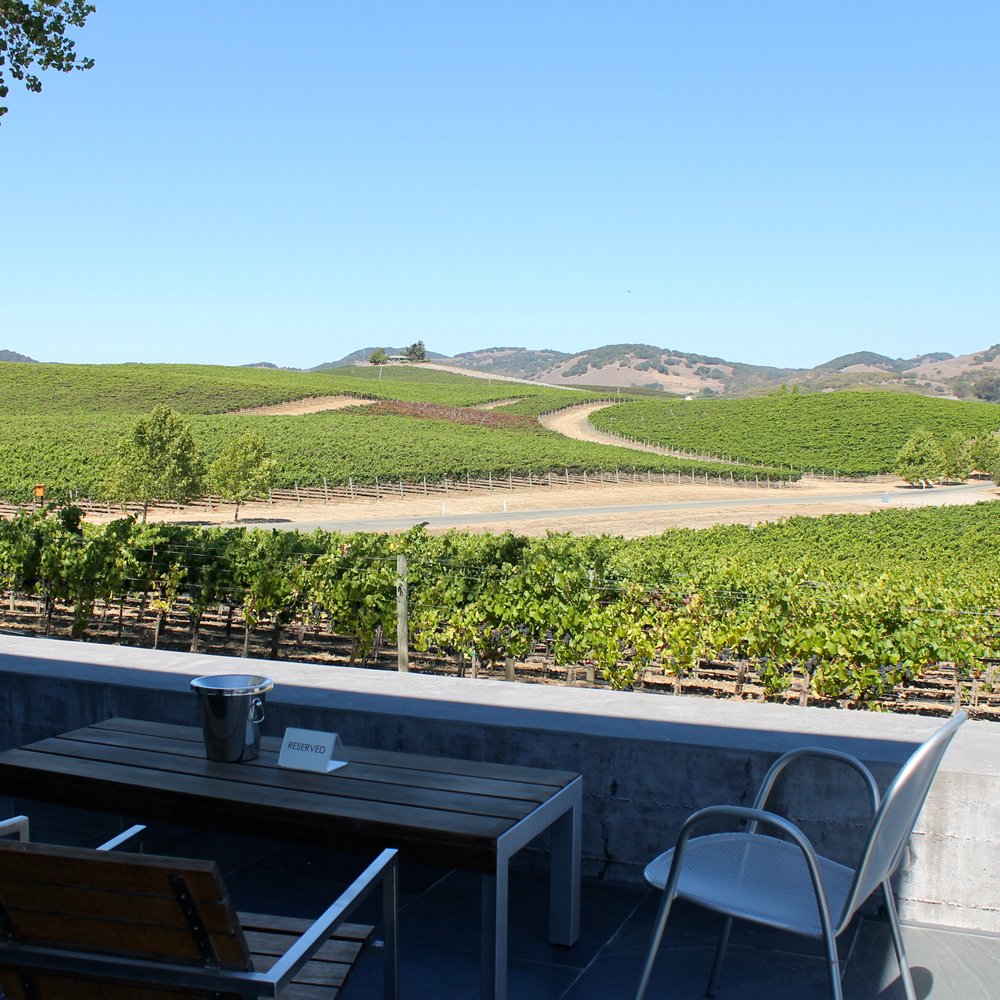 Cuvaison - Cuvaison:  view looking out over the vineyards from their tasting room.  if only the staff was as warm and inviting. - Wineries Near Me - Napa, California